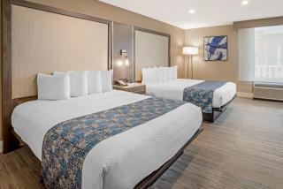 Best Western Plus Greenville I-385 Inn & Suites - Greenville - 3