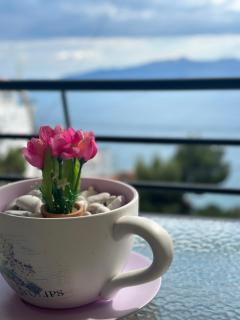 Lovely seaview apartment - 6