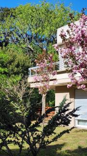 Magnolia - Mar de las Pampas - 5