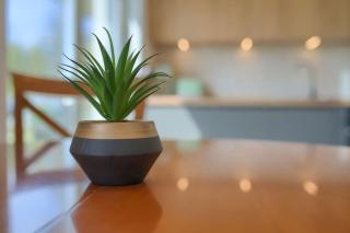 Idyllic at the Lake, 500m to baltic - dog-friendly - 8