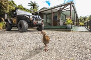 Goldfield Suites - Greymouth - 8