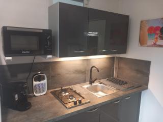 Studio avec jardin Morne des Esses - 1