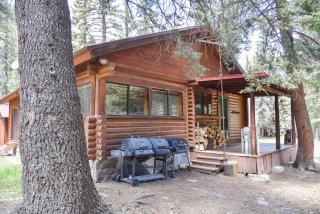 Bear Bait Cabin In Upper Valley With High Speed Wifi - Red River - 0