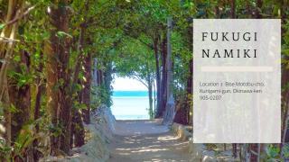 オーシャンテラス瀬底 402 - 6