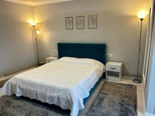 Elina studio - Drobeta-Turnu Severin - 8