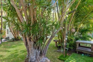 Home on Home by Discover Stradbroke - Point Lookout - 8