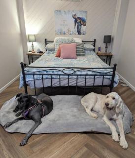 Newly renovated with ocean views - Emu Park - 4
