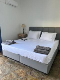 Villa Aliki Piskopiano - Hersonissos - 1