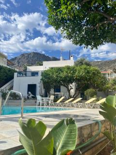 Villa Aliki Piskopiano - Hersonissos - 8
