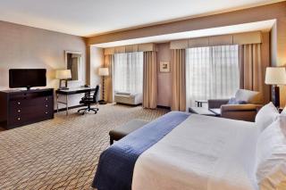 Holiday Inn Detroit Metro Airport by IHG - Romulus - 2
