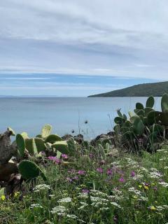 Niki's House - Gythio - 8