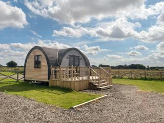 Daisy Glamping Pod - Hatfield - 7