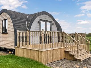 Daisy Glamping Pod - Hatfield - 1