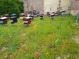 Studio Danton - Troyes - 7
