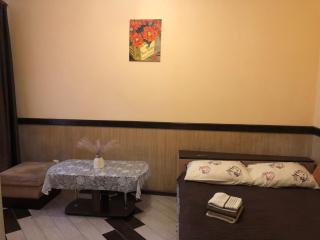 Львів центр міста Apartment in the center of Lviv Поруч громадська парковка - Lviv - 9
