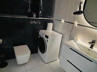 Red Kot Lisia 12 - 1