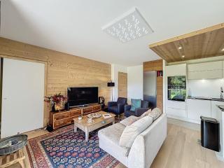Appartement neuf 3 chambres à Combloux, vue Mont Blanc, jardin, parking, wifi - FR-1-560-143 - Combloux - 3