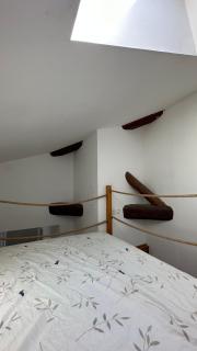 Cosy studio in historical center - Avignon - 6