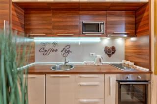 Apartman Mihajlo Kalman - 5