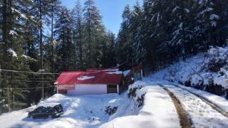 cedar tree cottage gadakufri - 0