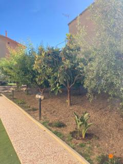 Casa vacanze Il giardino - Villamassargia - 7