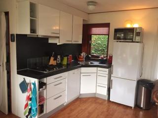 Enjoyable holiday home - Noordwijk - 4