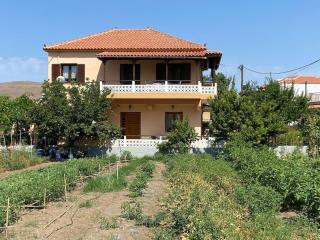 Villa Ntini - Skala Eresou - 7