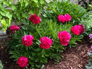 Ferienwohnung Laimer, Radau 37 - 9