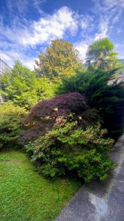 Casa Blue lake - Gravedona - 6