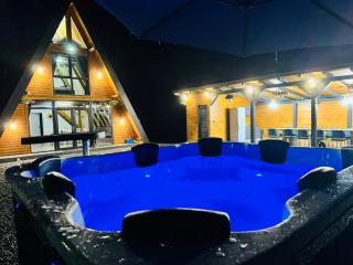 Cabana A-Frame Ariana - Porumbacu de Sus - 0