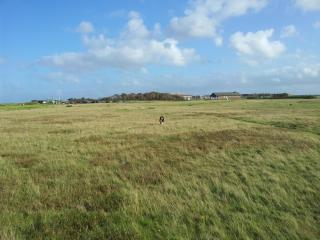 Haus am Meer 038 WB - Westerland - 2