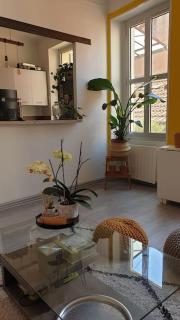 Mon Jardin Secret Marseillais avec terrasse dans le quartier le plus cool du Monde - 4