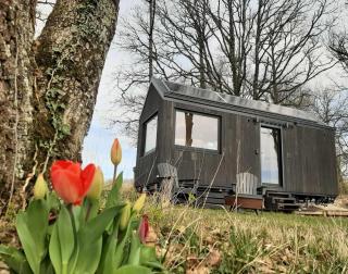 L'Envolée Ecolodge, tiny house au coeur des vignes - Loches-sur-Ource - 0