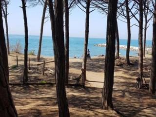 Appartamento Fronte Mare Marina di Cecina - Cecina - 9