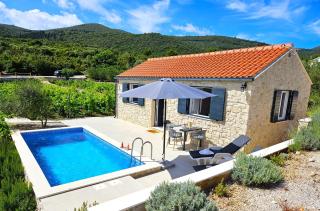 Stone house in vineyard - Račišće - 8