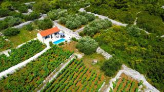 Stone house in vineyard - Račišće - 5