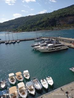Rosa del Mare - 4