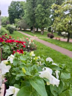 Une Chambre dans un appartement - 9