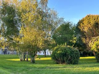 La Jarisse - Saint-Martin-de-Fressengeas - 8