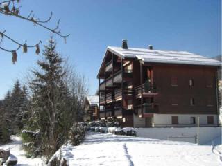 Confortable 2 Pièces + Cabine pour 4 Personnes au Centre-Ville, Terrasse, Proche Navettes - FR-1-458-169 - Le Grand-Bornand - 1