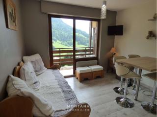 Studio rénové 1er étage pour 4 pers. - Le Grand-Bornand - FR-1-458-182 - Le Grand-Bornand - 7