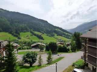 Studio rénové 1er étage pour 4 pers. - Le Grand-Bornand - FR-1-458-182 - Le Grand-Bornand - 1