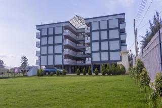 The pine 1 bedroom house California plaza - Nanyuki - 8