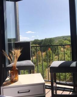 Elite Hotel Apartment near Kecharis - Tsaghkadzor - 1