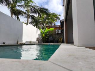 VILLA O'LHAYA piscine pivée - Saint-Joseph - 6