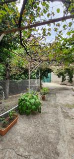 Sofi House - Tbilisi - 4