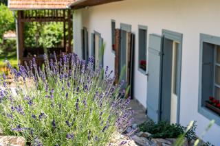 Bor-Kő Udvarház - 5