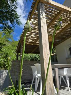 Petite maison - Porto-Vecchio - Porto-Vecchio - 9