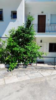 Vitamin Sea Palio vacation apartment - Palaión Tsiflíkion - 5