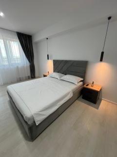 Luxury Sunny Apartments near City Center Suceava - 8